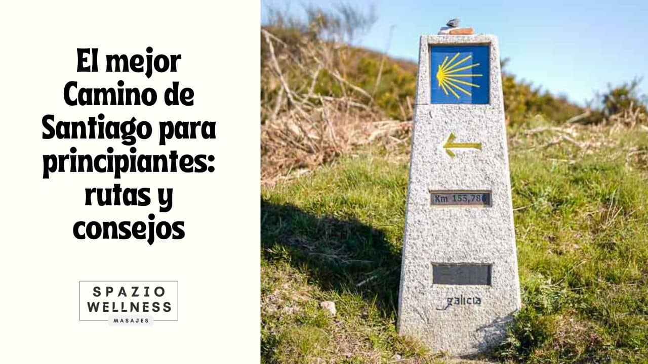 El mejor Camino de Santiago para principiantes rutas y consejos